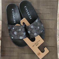 Coach Slides