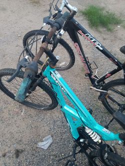 Adult bikes