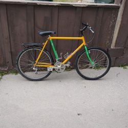 1988 Novara Ponderosa 