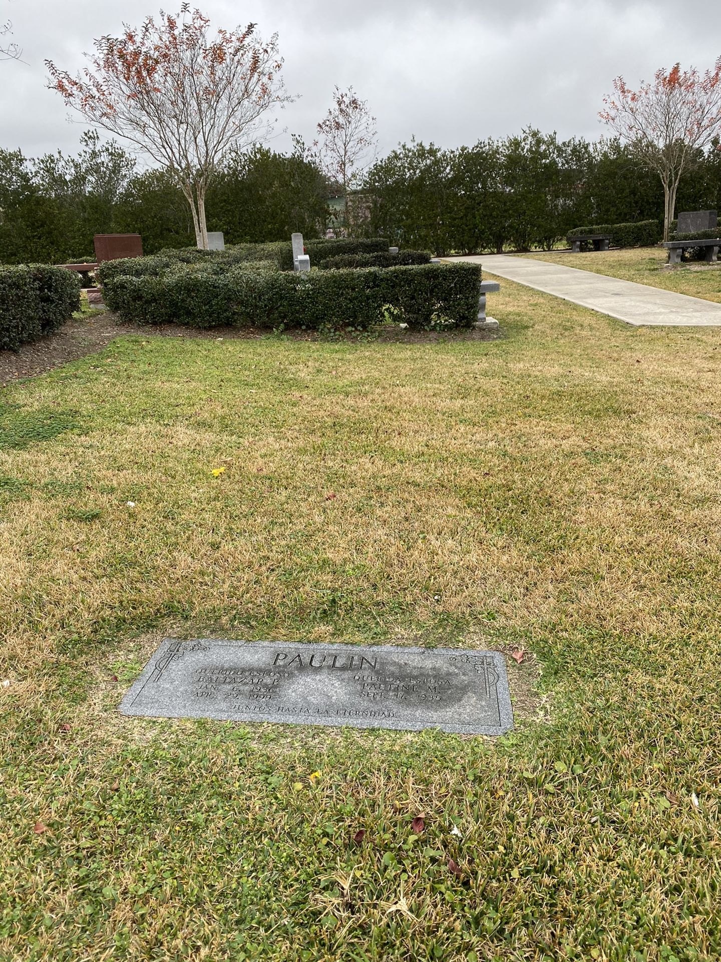 Cemetery plot at Forest Park Lawndale for Sale in Houston, TX OfferUp