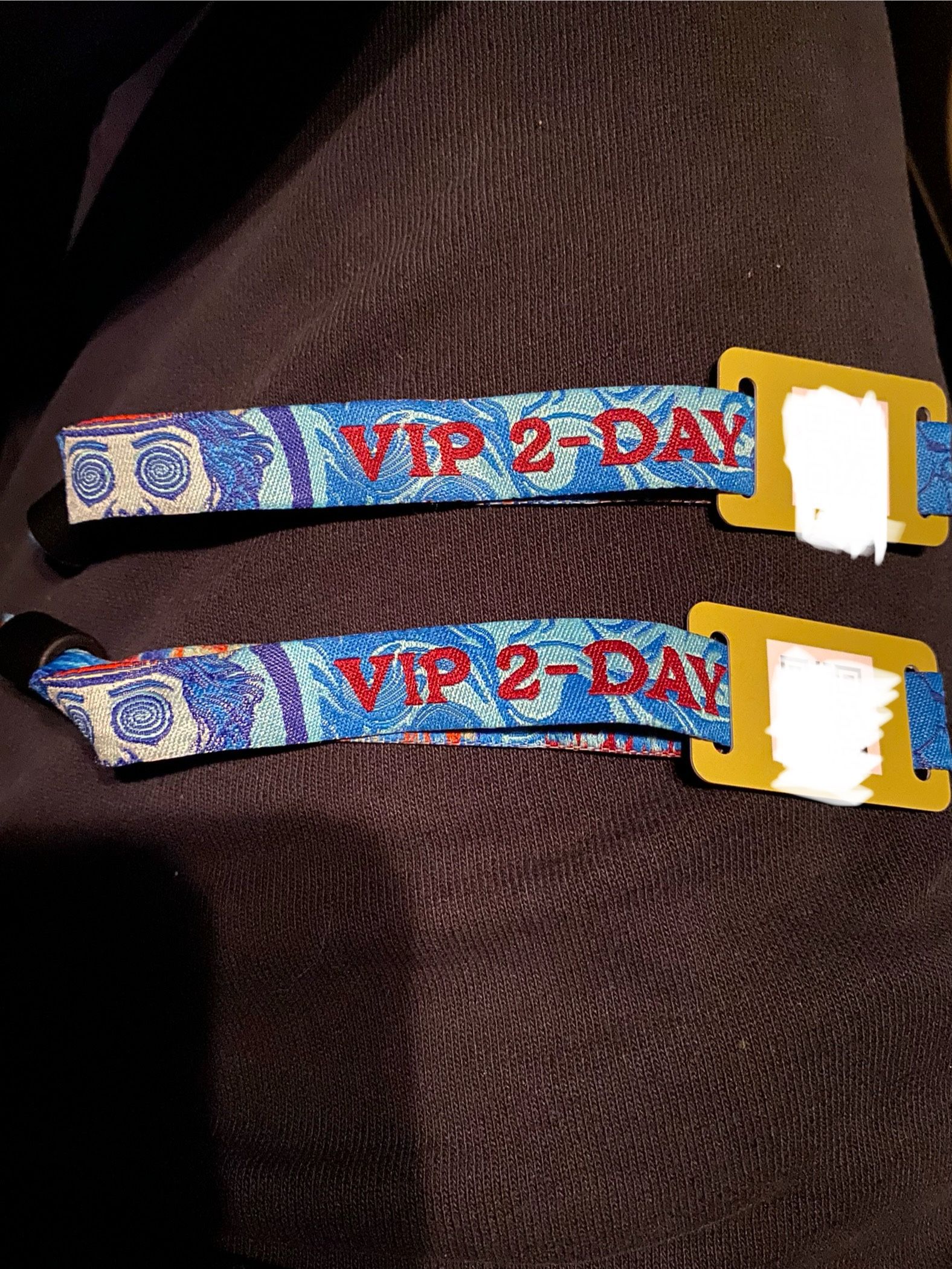 Beyond Wonderland 2024 SUNDAY ONLY VIP