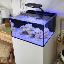 Aquarium 24g Reef Casa Laguna W/ Stand