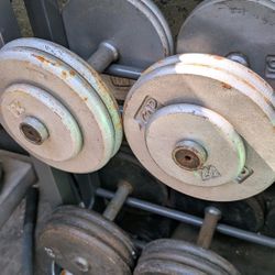 Dumbbell Sets 300lbs