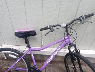 BamCase Bike