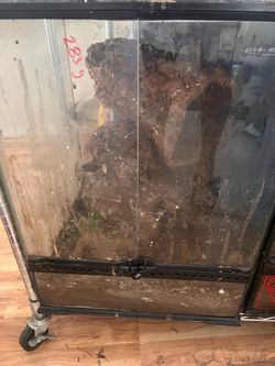 18x18x24 Reptile tank