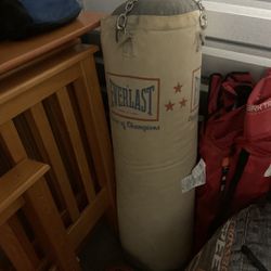 Everlast 75-Pound Boxing Training Heavy Punching Bag