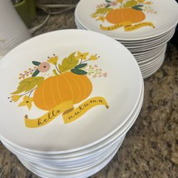 40 Fall plates