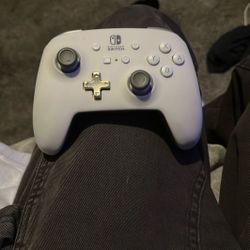 Nintendo Switch Controller 