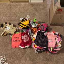 Dog clothes, bandannas, bows, and ribbons, boots, jackets, Halloween costumes, Christmas outfits