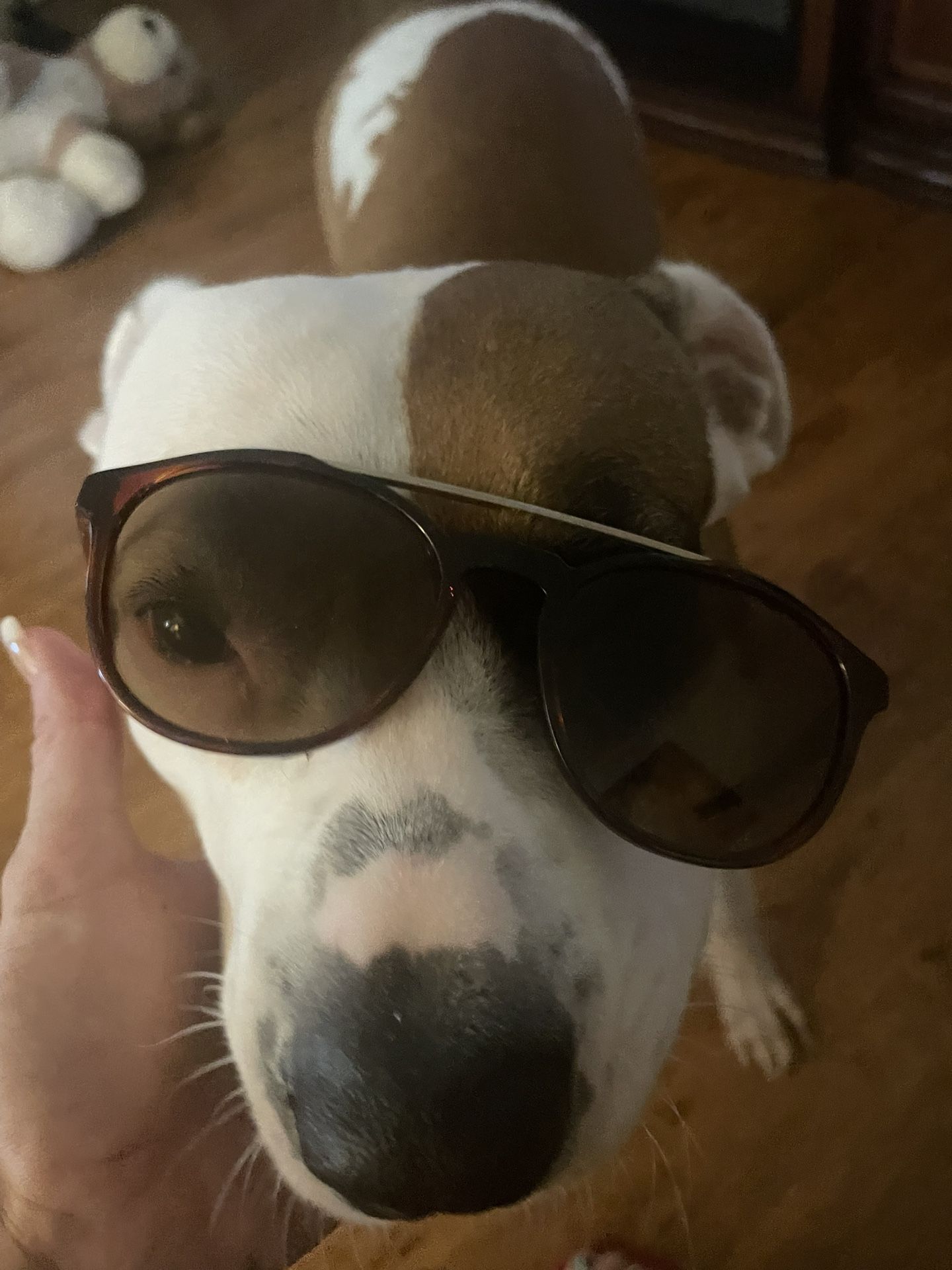 Nike Sunglasses In Perfect Condition