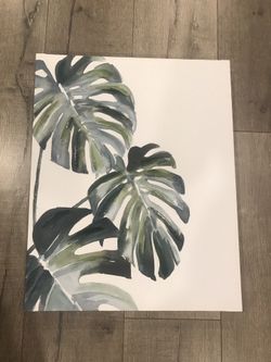 Canvas Frame