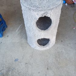 Cat Bed