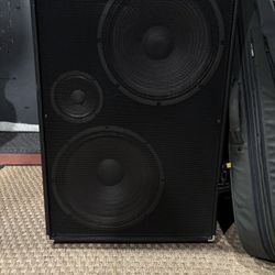 Bergantino 2x15 Bass Cab NV215