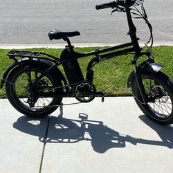 Rad Power E-bike