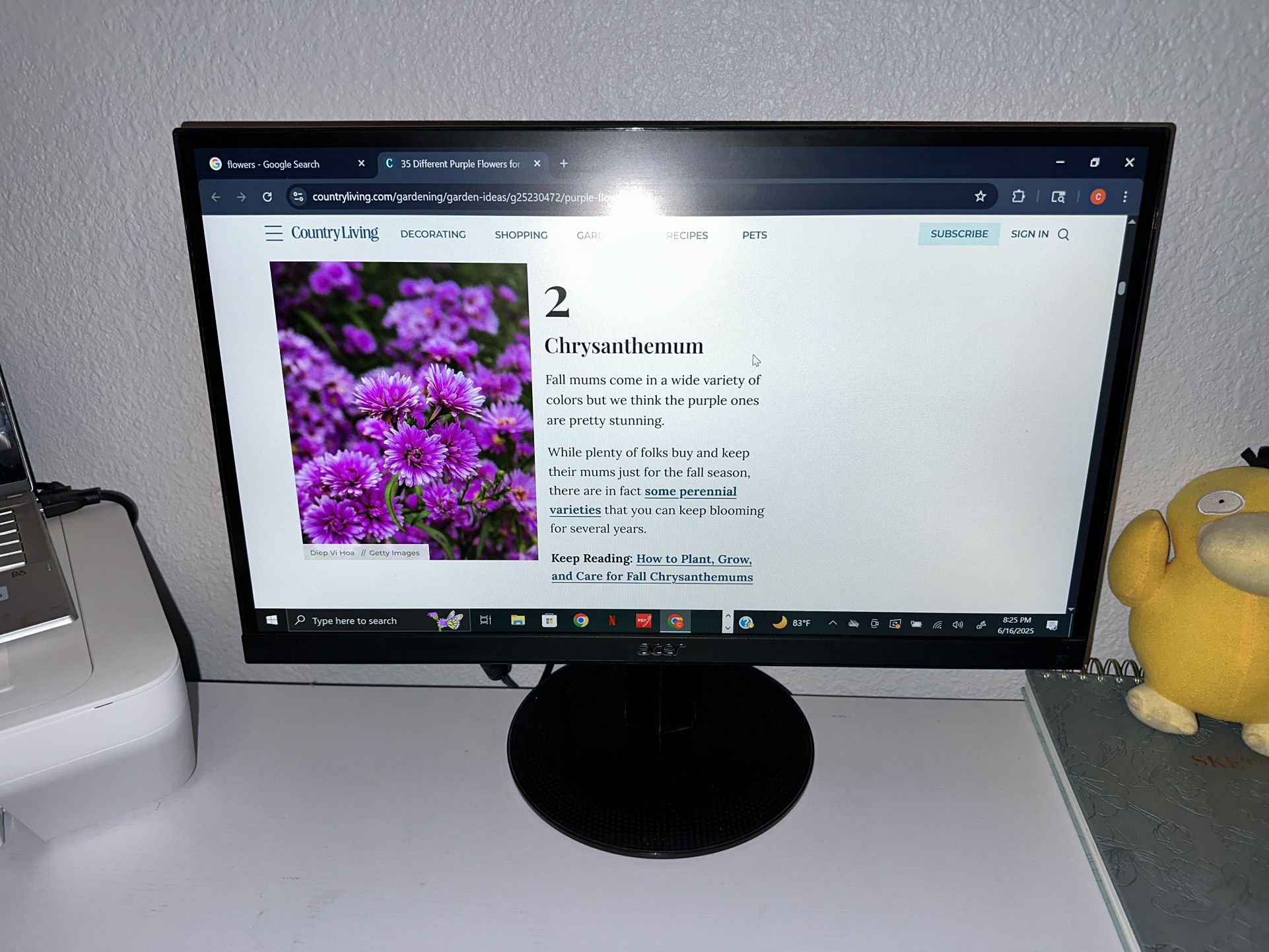 Acer 23.8 Inch Gaming/ Office Monitor