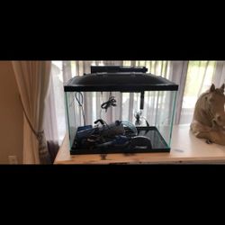 20 GALLON fish Tank For Sale