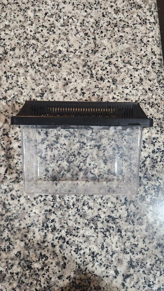 Small Terranium / Aquarium