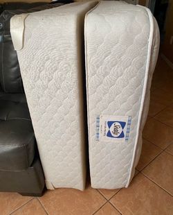 Twin bed frame, box spring and twin mattress