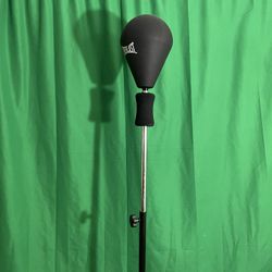Everlast Punching Bag Adjustable 