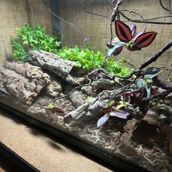 Reptile Tank 