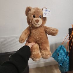 Build A Bear Teddy Bear Cub New With Tag $10