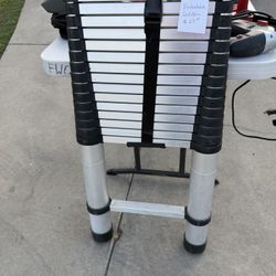 Extendable Ladder