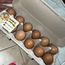 Huevos De Rancho 