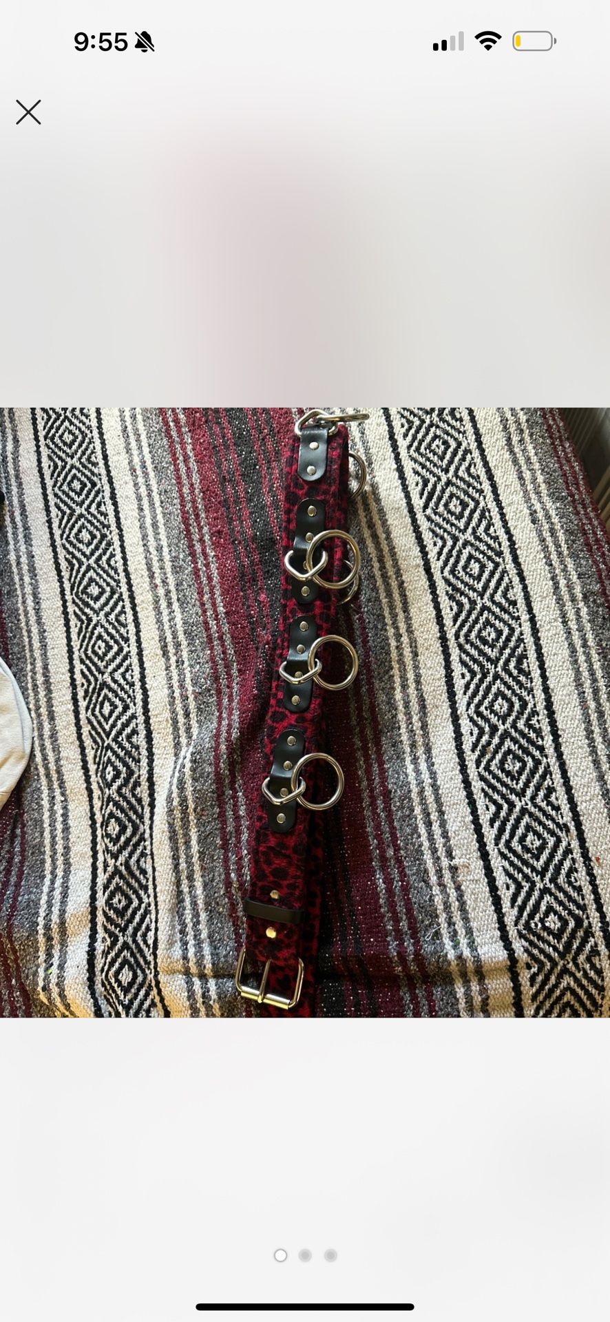 Bondage Belt