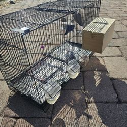 Love Bird Cage