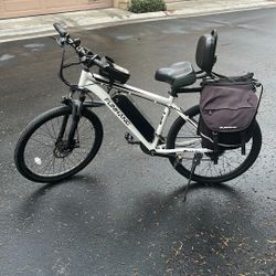 Funhang Electric Bike 