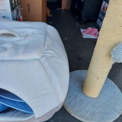 $10 Pet Supplies