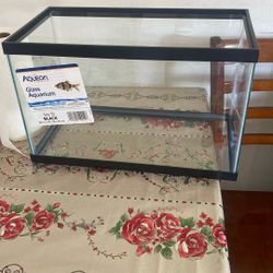 10 gallon fish tank