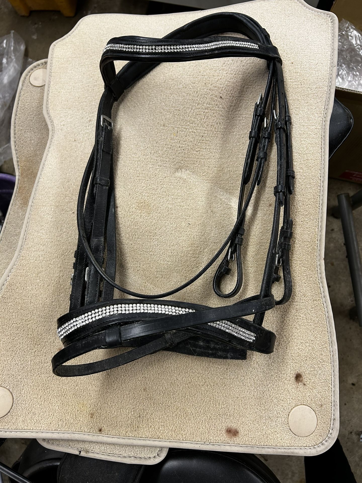 Bridle