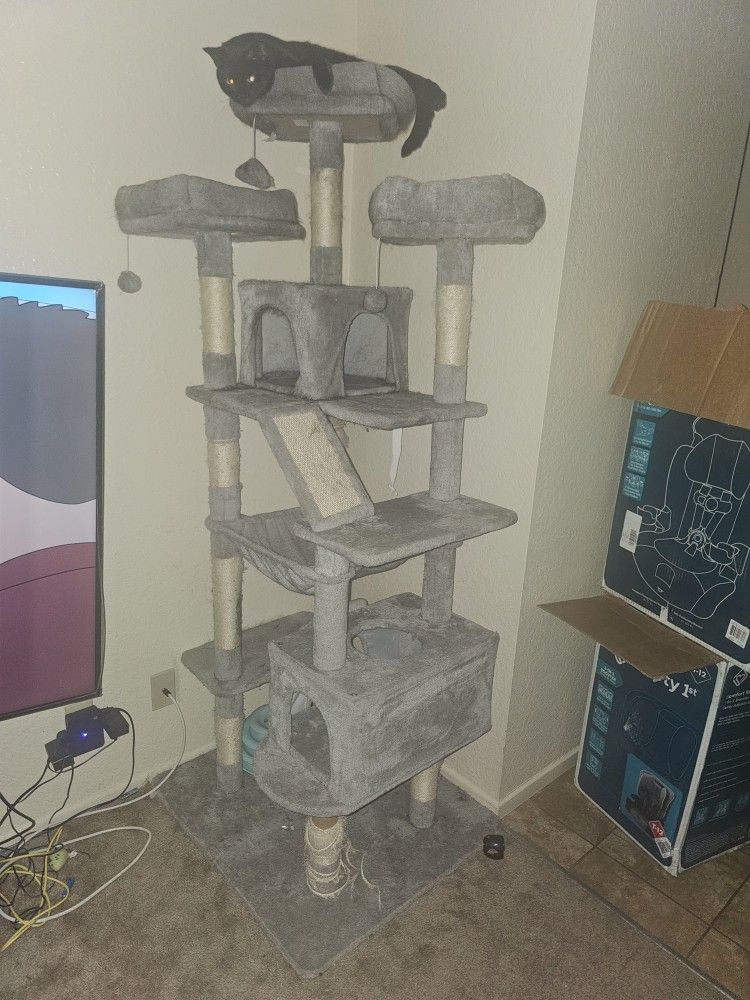 Used Cat Tree