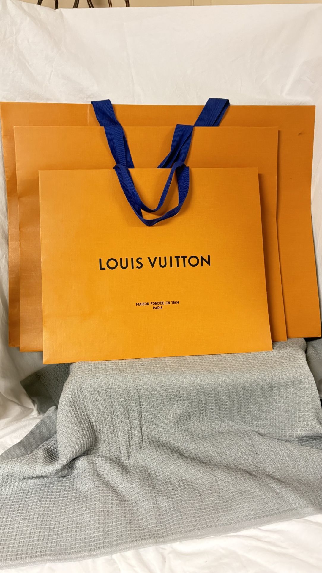 Louis Vuitton Gift Bags 