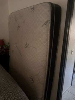 Free queen mattress