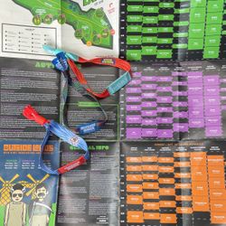 Outside Lands festival