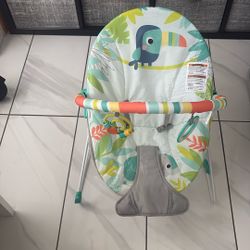 Bright Starts Baby Bouncer 