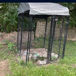 Outside Cage 