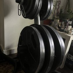Weight Set With Bar 