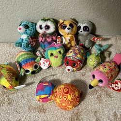 TY Teenie Beanie Babies and More (Lot of 12)