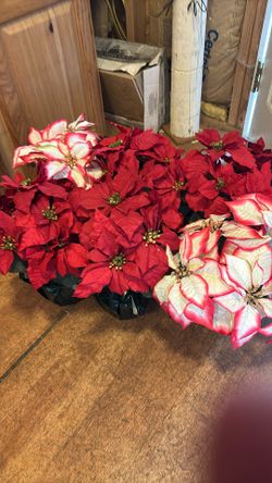 6 Fake Poinsettias, 4 Red, 2 White/ Medium/ Green Wrap