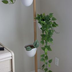 Modern Plant Stand