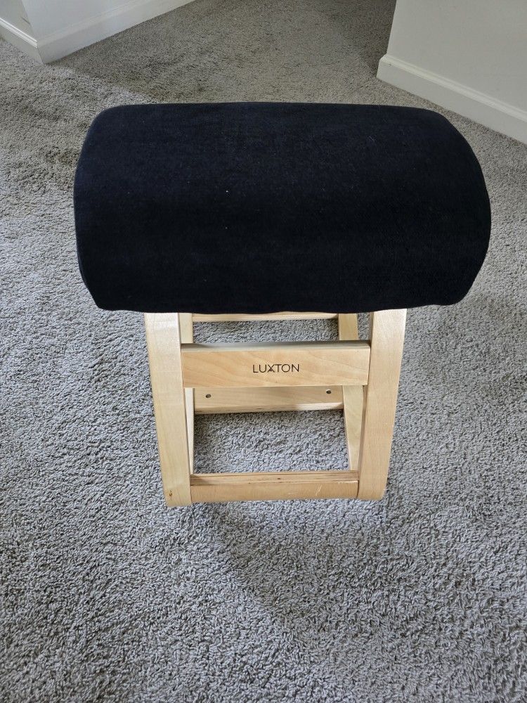 LUXTON Ergonomic Chair