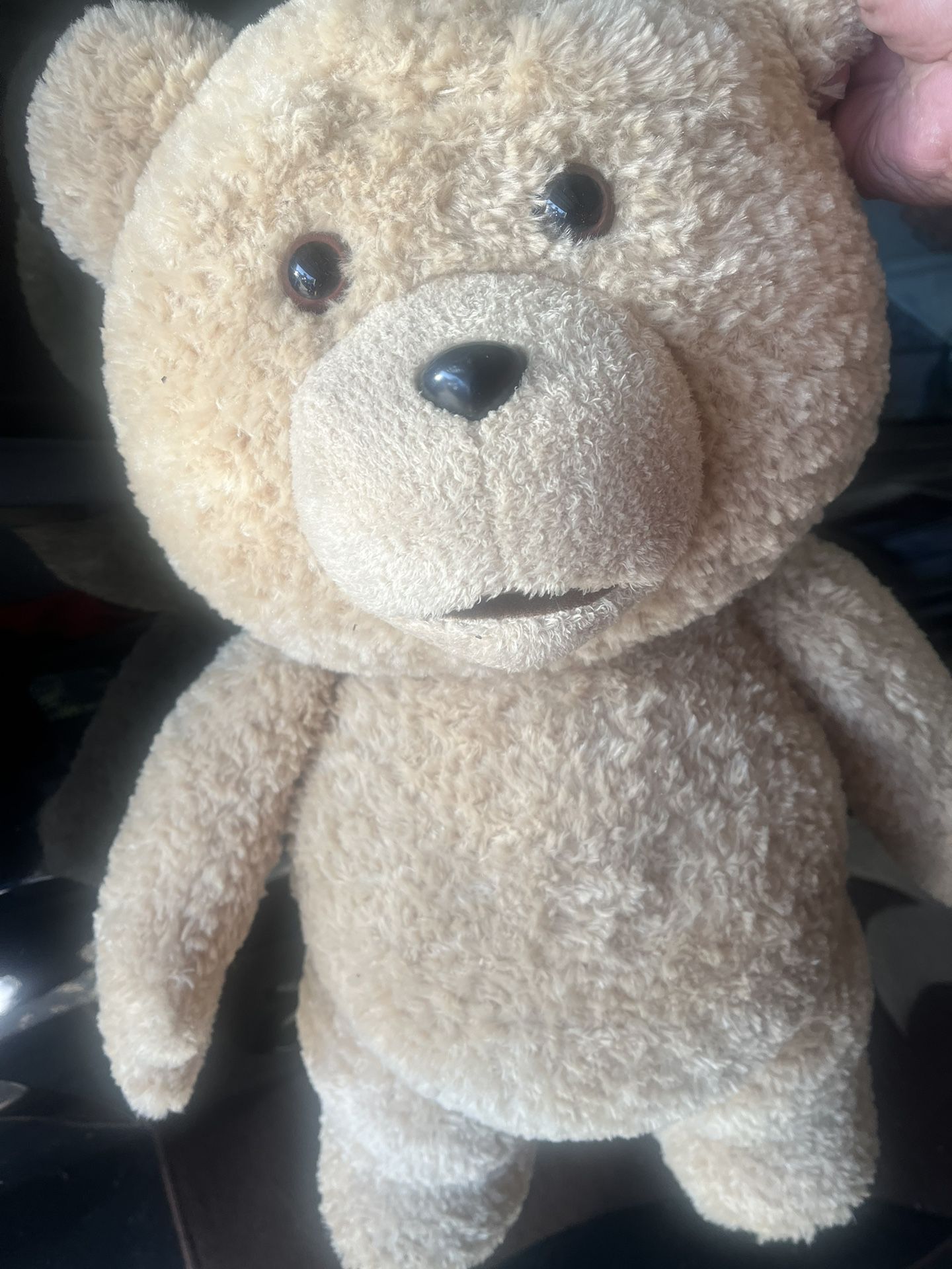 Ted Bear  
