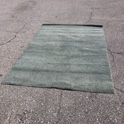Rug/carpet