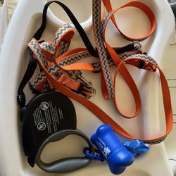 Dog Leash