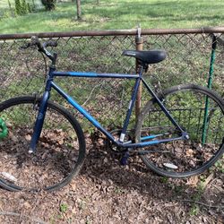 Missing Bike Pedal Single Speed Bike One Gear 
