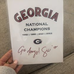 Georgia National Champions Print