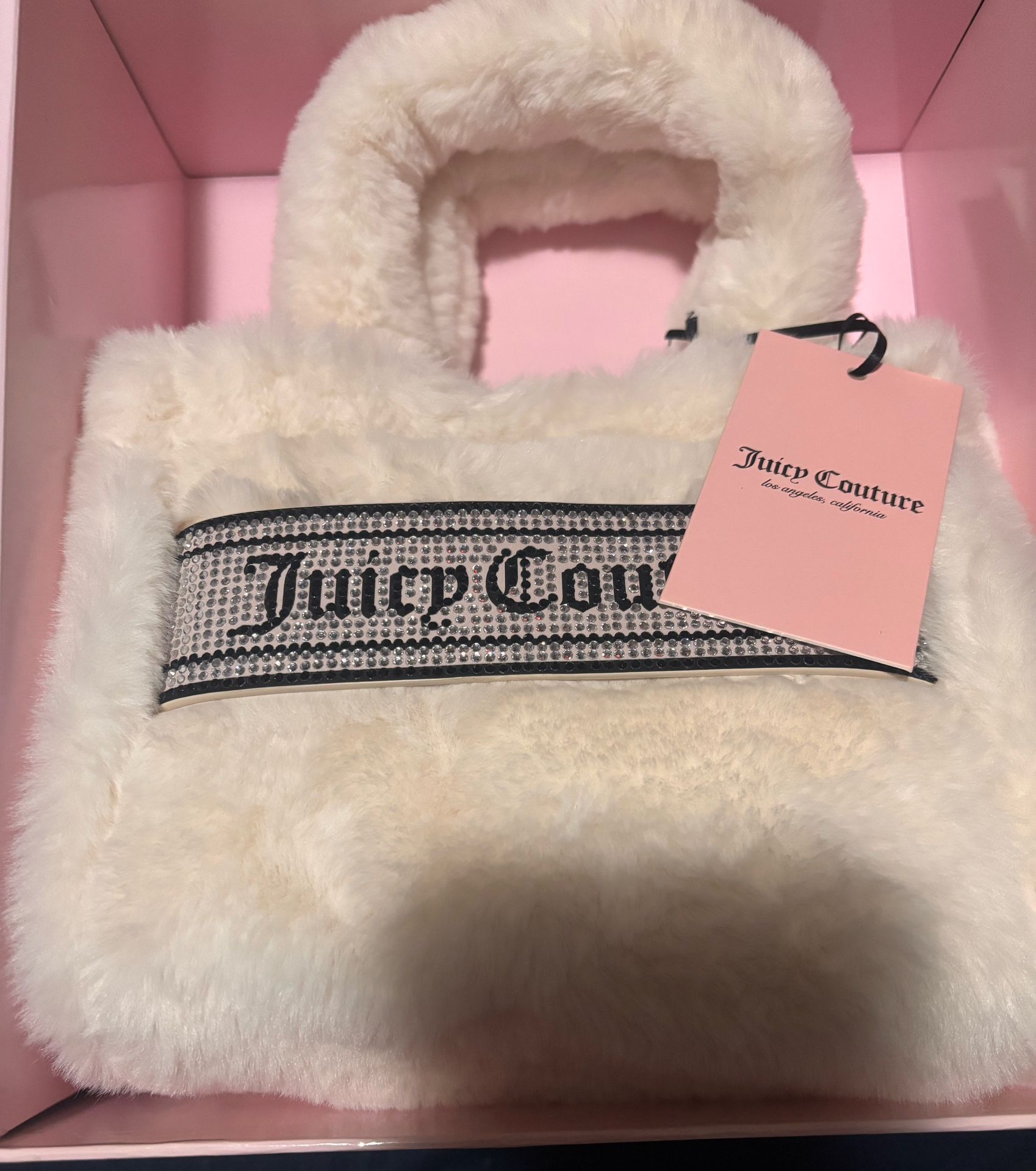 Cute Juicy Couture Purse 